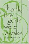 Front Cover - if only the gods were awake by Gary Girdhari